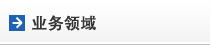 业务领域