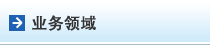 业务领域