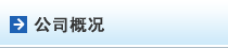 公司概况